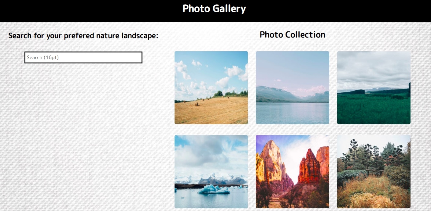 Interactive Gallery Project
